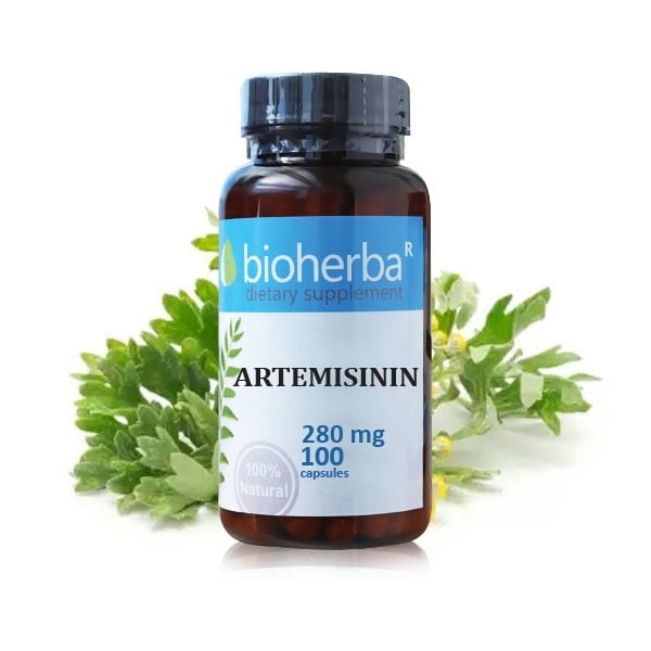 АРТЕМИЗИНИН БИОХЕРБА, ARTEMISININ, при паразити, 100 капсули, 280 mg ...
